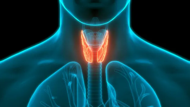 Endocrine System Disorders