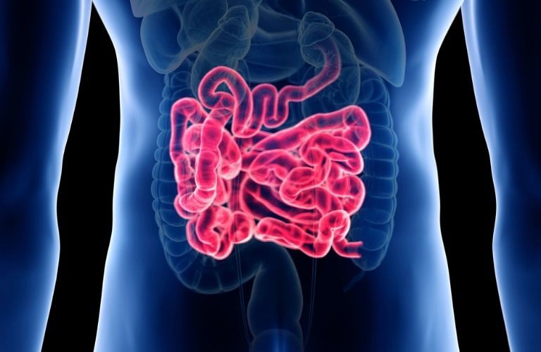 Stomach & Small Bowel Surgery : 